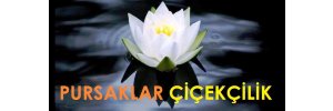 Pursaklar Çiçekçilik | Pursaklar Çiçek